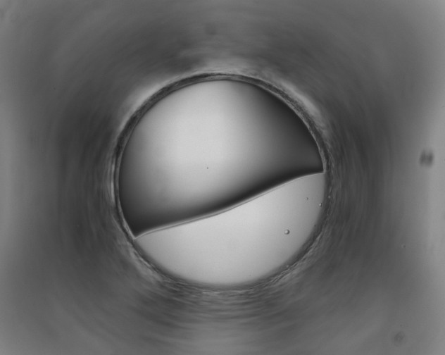 X0000091571272200708200943