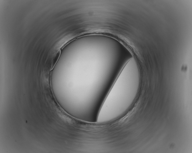 X0000091571273200708200943