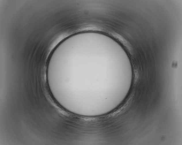 X0000091571274200708200943