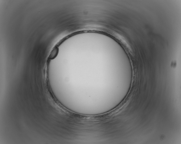 X0000091571275200708200943
