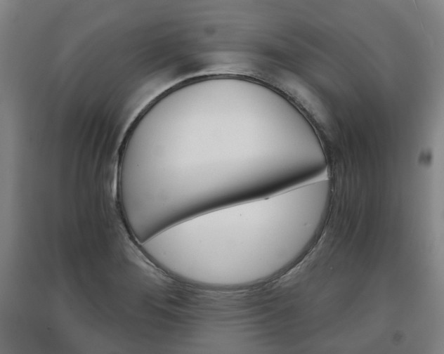 X0000091571276200708200943