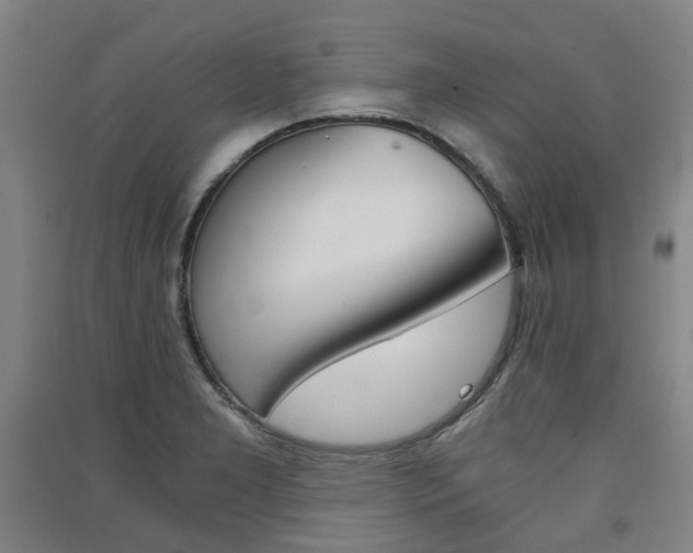 X0000091571277200708200943