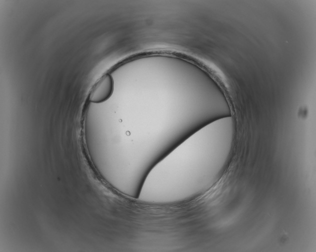 X0000091571279200708200943