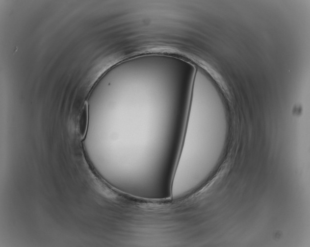 X0000091571281200708200943