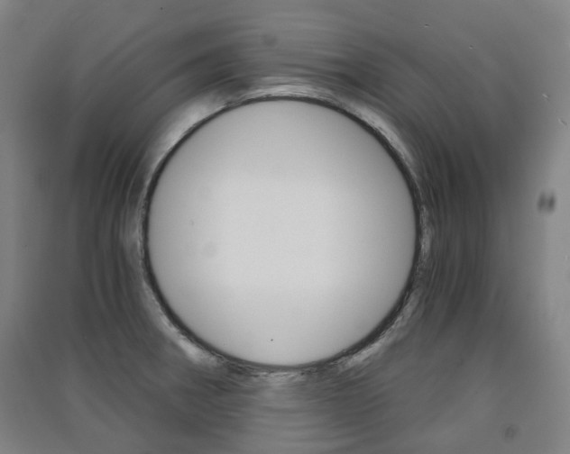X0000091571282200708200943