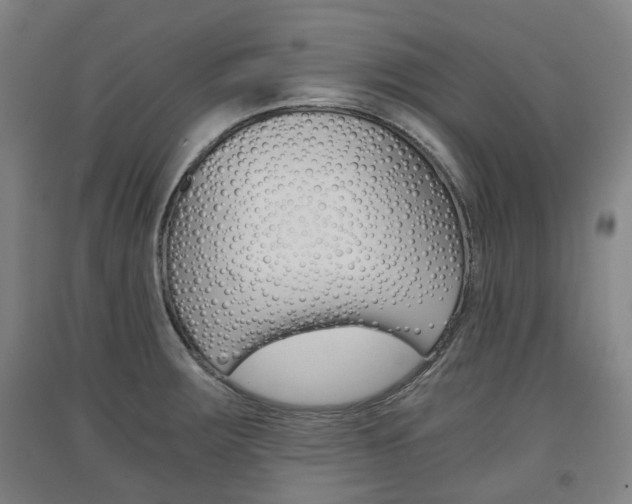 X0000091571283200708200943
