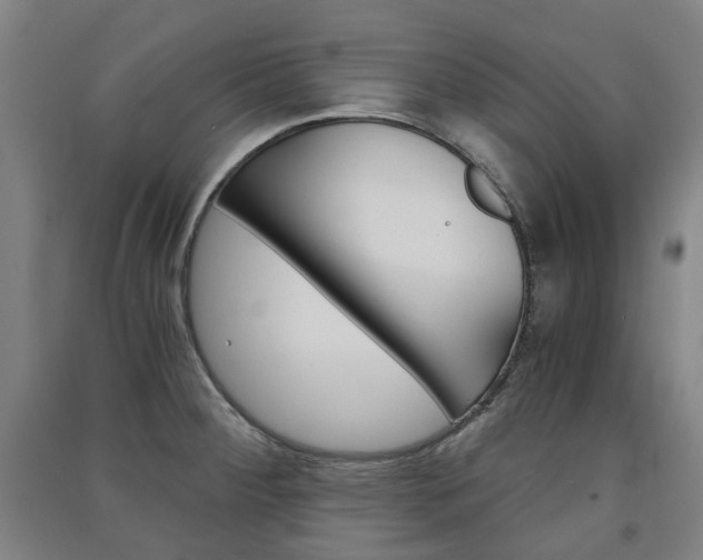 X0000091571284200708200943