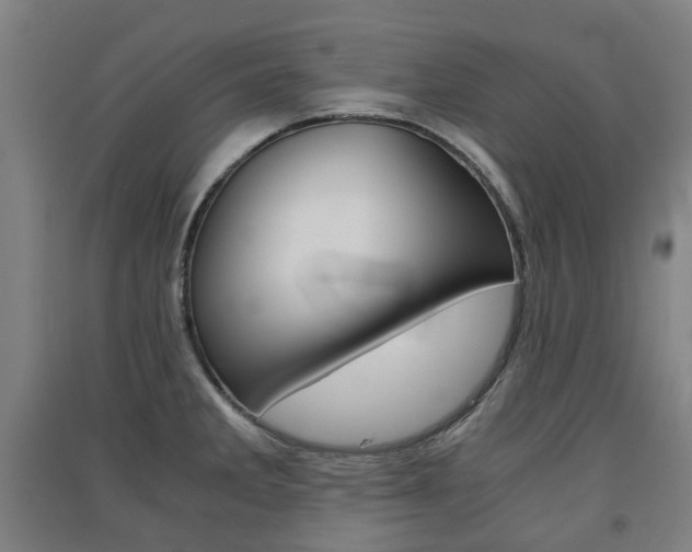 X0000091571285200708200943