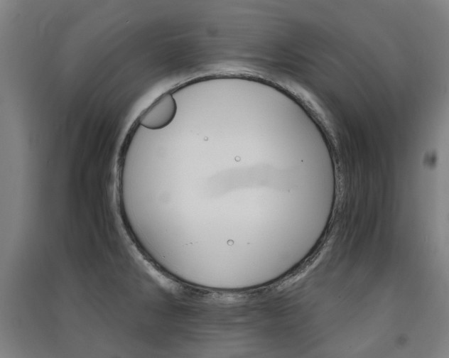 X0000091571286200708200943