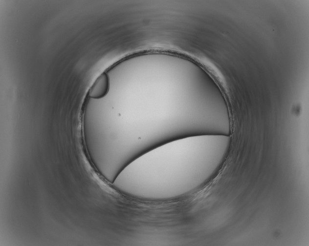 X0000091571287200708200943