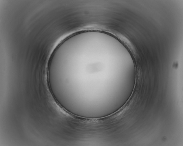 X0000091571288200708200943