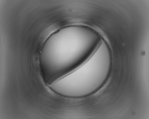 X0000091571289200708200943