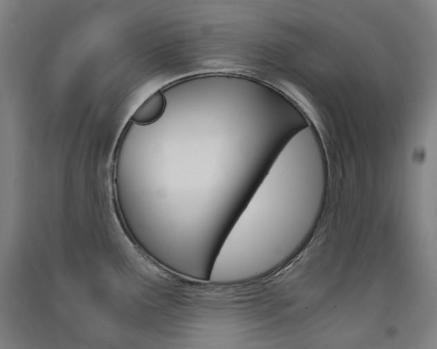 X0000091571291200708200943