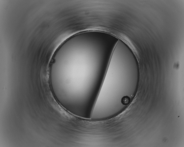 X0000091571292200708200943