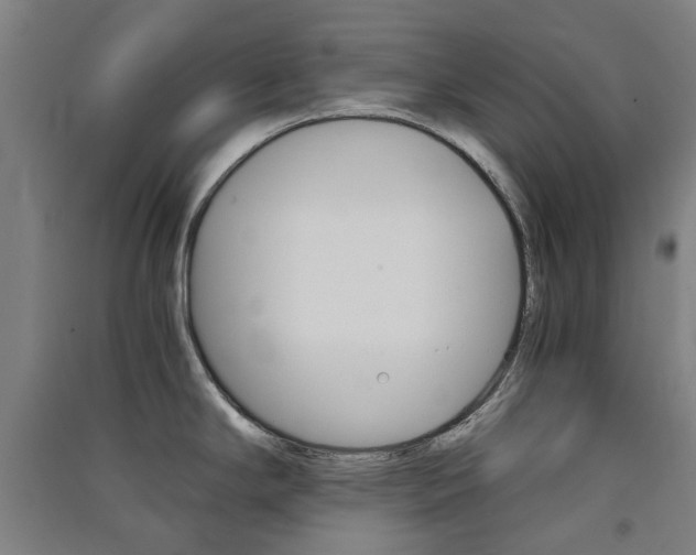 X0000091571294200708200943