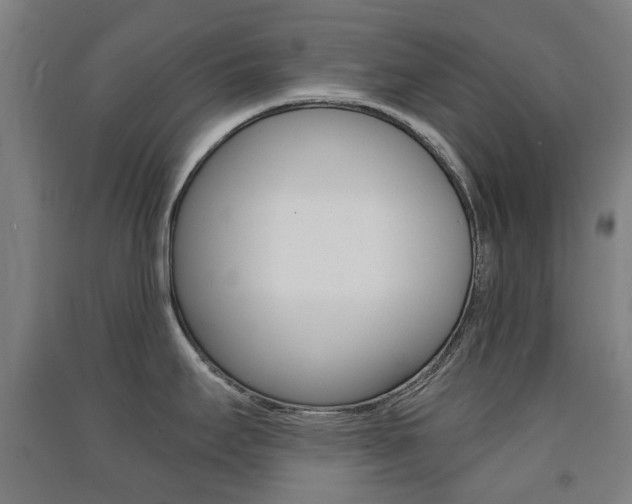 X0000091571295200708200943