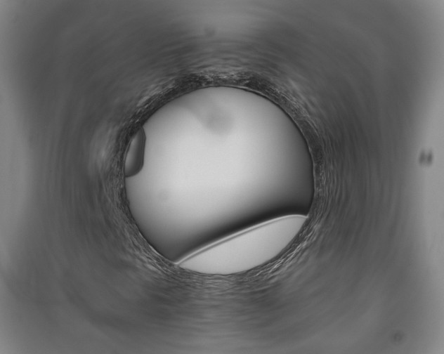 X0000091571297200708200942