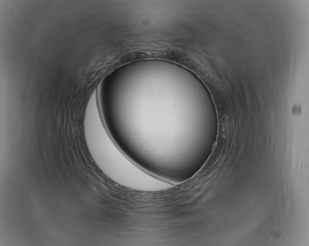 X0000091571298200708200942