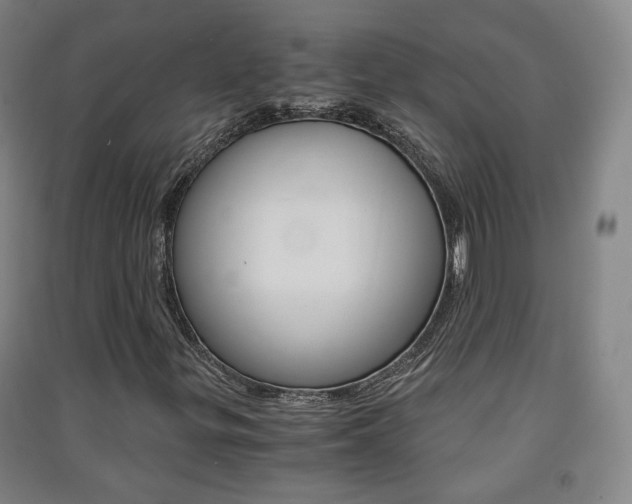X0000091571299200708200942