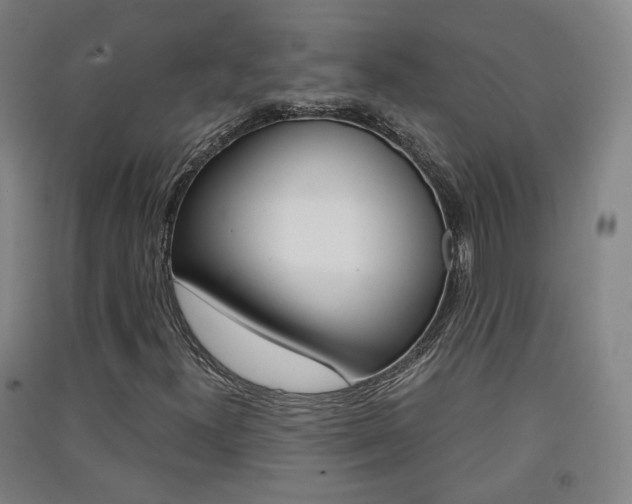 X0000091571300200708200942