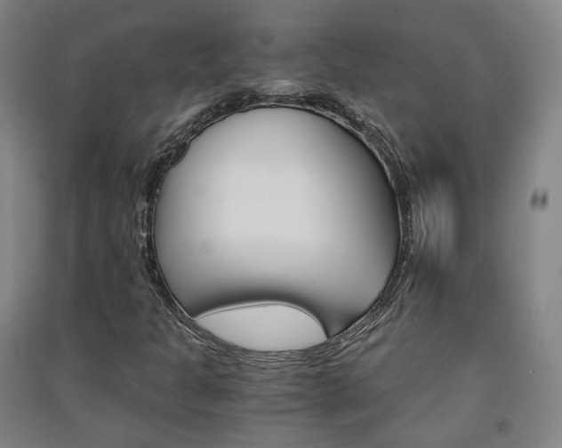 X0000091571301200708200942