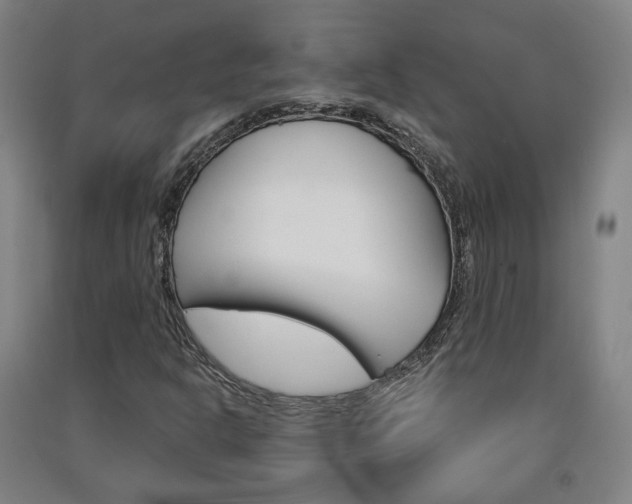 X0000091571302200708200942