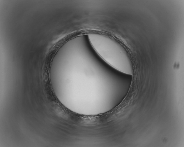 X0000091571303200708200942