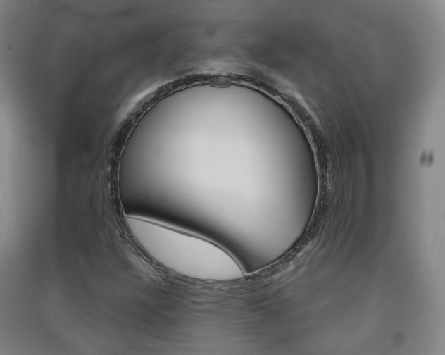 X0000091571304200708200942