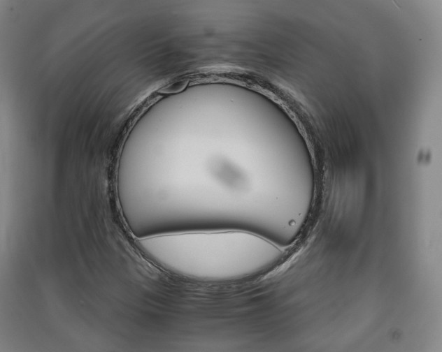 X0000091571305200708200942