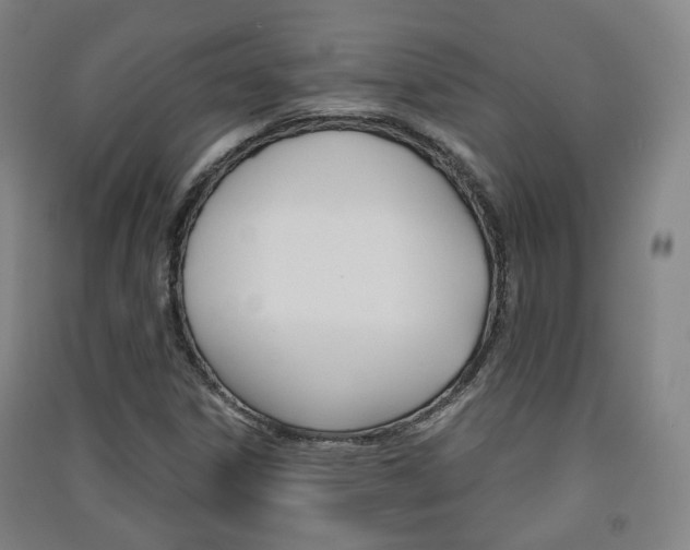 X0000091571306200708200942