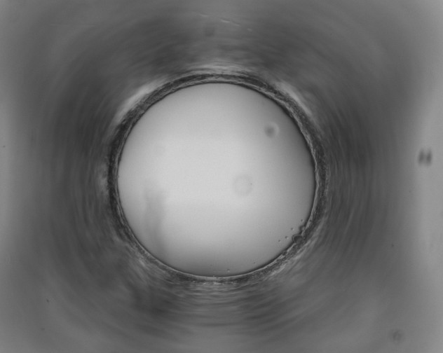 X0000091571307200708200942