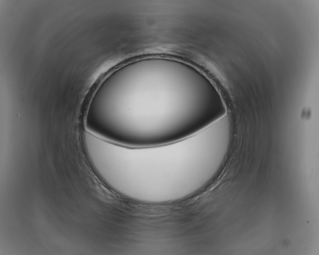 X0000091571308200708200942