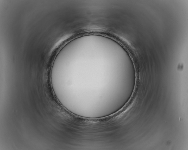 X0000091571309200708200942