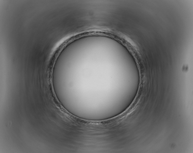 X0000091571310200708200942