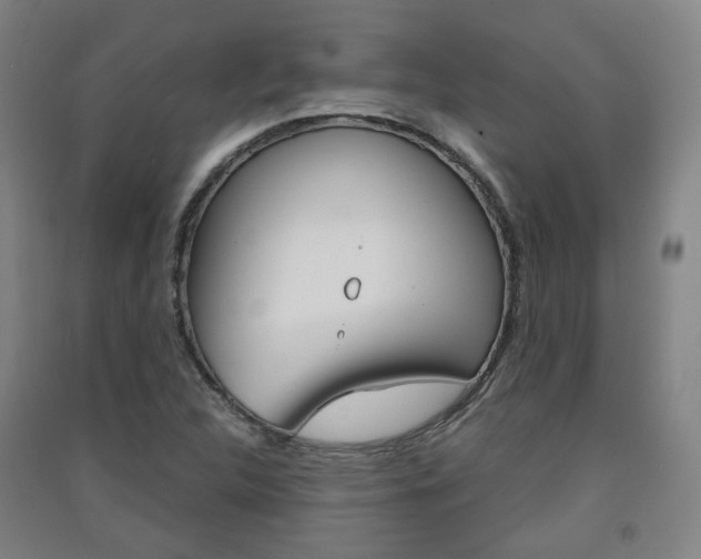 X0000091571312200708200942