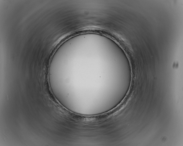 X0000091571313200708200942