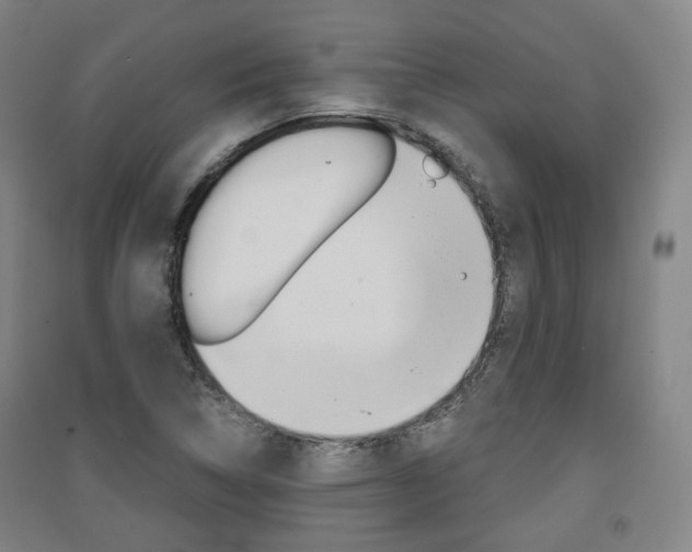 X0000091571314200708200942