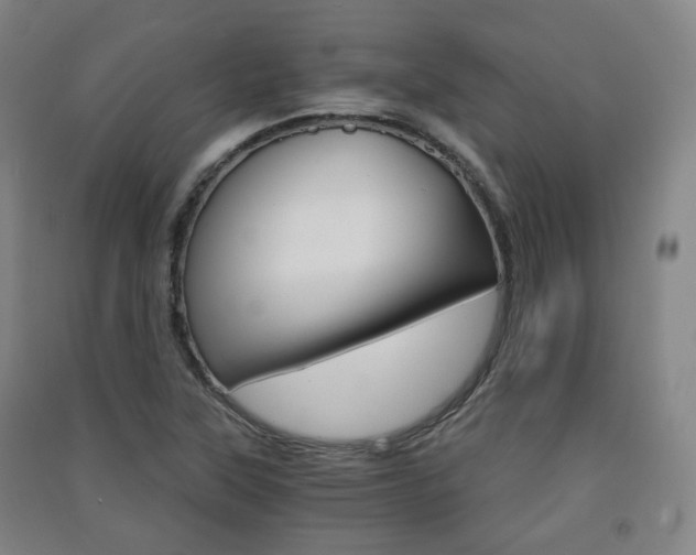 X0000091571315200708200942