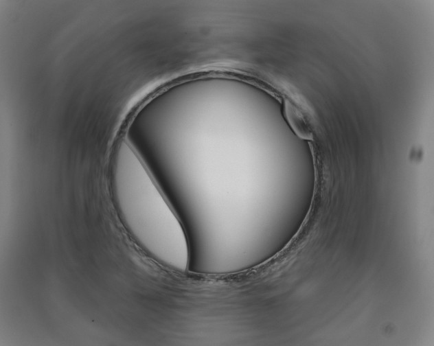 X0000091571316200708200942