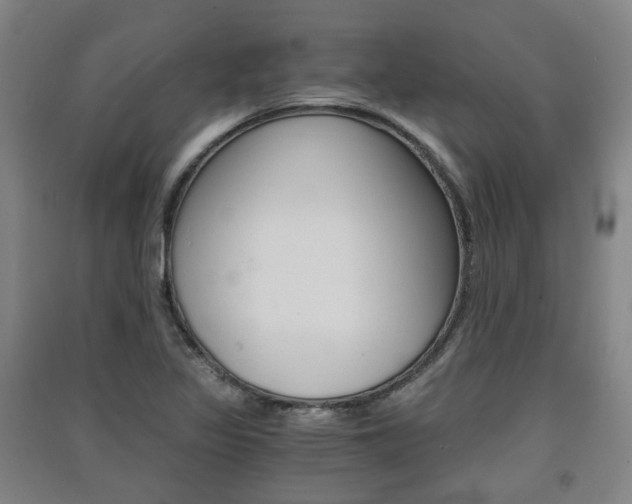 X0000091571317200708200942