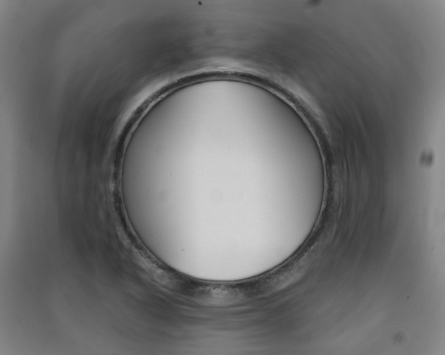 X0000091571318200708200942