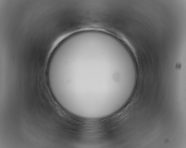 X0000091571320200708200942