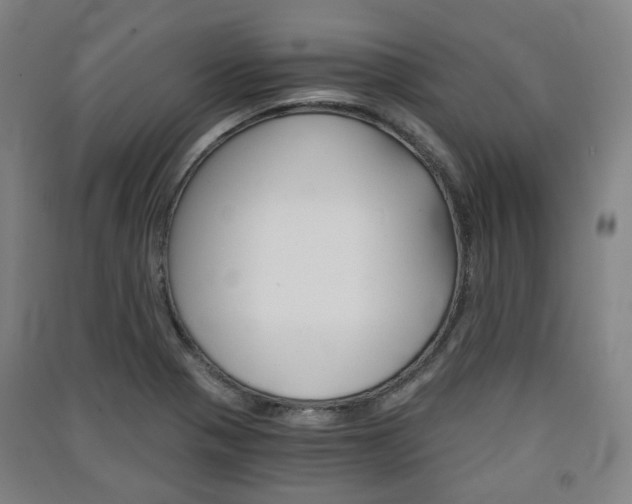 X0000091571321200708200942