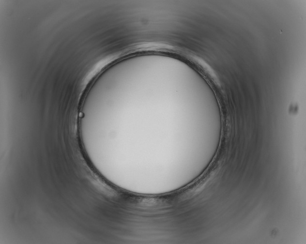 X0000091571322200708200942