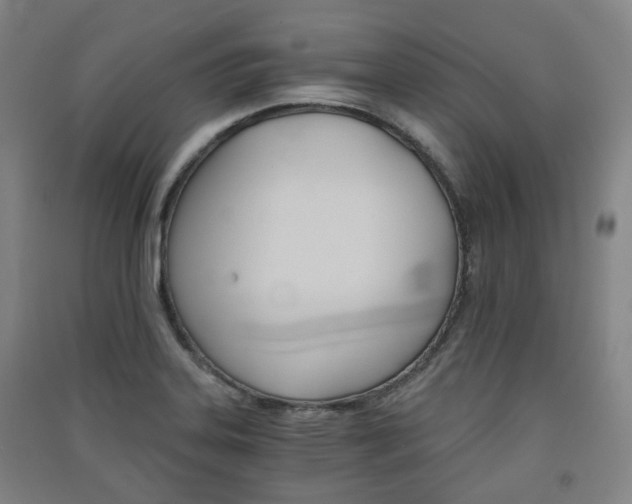 X0000091571323200708200942
