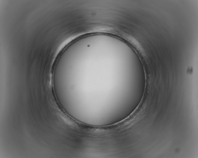 X0000091571324200708200942