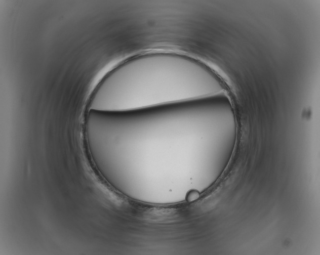 X0000091571325200708200942