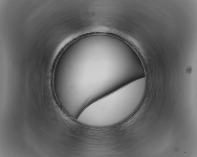 X0000091571326200708200942