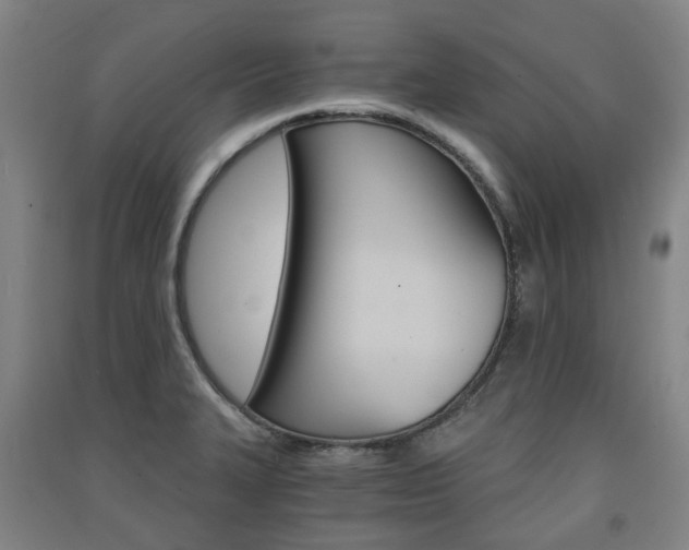 X0000091571327200708200942