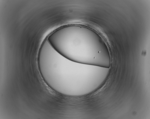 X0000091571328200708200942